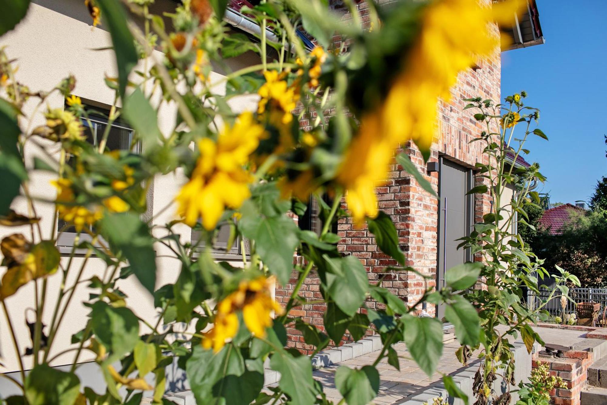 Ferienwohnungen Stolzenhagener 7 Lunow-Stolzenhagen Buitenkant foto
